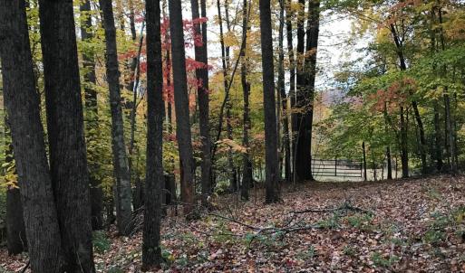 Photo #16 of SOLD property in Off Seven Island Road, Danbury, NC 27.6 acres