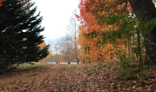 Photo #17 of SOLD property in Off Seven Island Road, Danbury, NC 27.6 acres