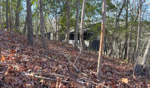 Photo #25 of SOLD property in Off Seven Island Road, Danbury, NC 27.6 acres