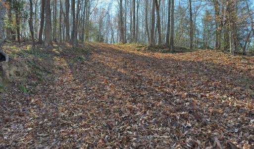 Photo #29 of SOLD property in Off Seven Island Road, Danbury, NC 27.6 acres