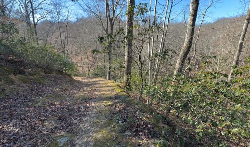 Photo #30 of SOLD property in Off Seven Island Road, Danbury, NC 27.6 acres