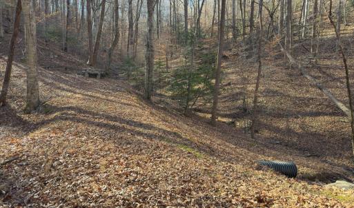 Photo #31 of SOLD property in Off Seven Island Road, Danbury, NC 27.6 acres