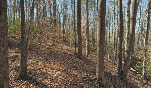 Photo #33 of SOLD property in Off Seven Island Road, Danbury, NC 27.6 acres