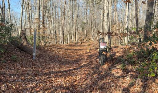 Photo #34 of SOLD property in Off Seven Island Road, Danbury, NC 27.6 acres