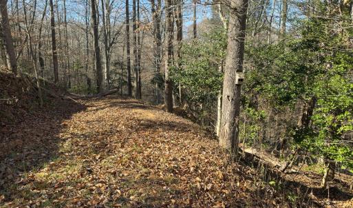 Photo #35 of SOLD property in Off Seven Island Road, Danbury, NC 27.6 acres