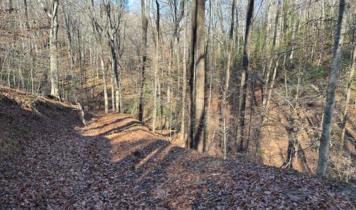 Photo #36 of SOLD property in Off Seven Island Road, Danbury, NC 27.6 acres