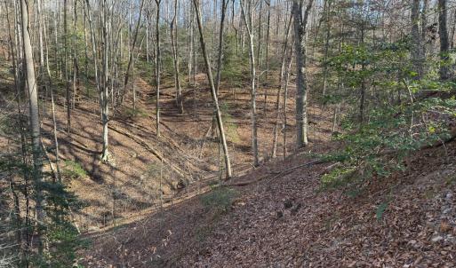Photo #37 of SOLD property in Off Seven Island Road, Danbury, NC 27.6 acres