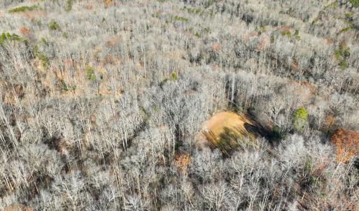 Photo #4 of SOLD property in Off Seven Island Road, Danbury, NC 27.6 acres