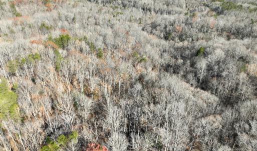 Photo #5 of SOLD property in Off Seven Island Road, Danbury, NC 27.6 acres