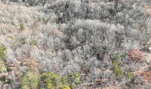 Photo #6 of SOLD property in Off Seven Island Road, Danbury, NC 27.6 acres