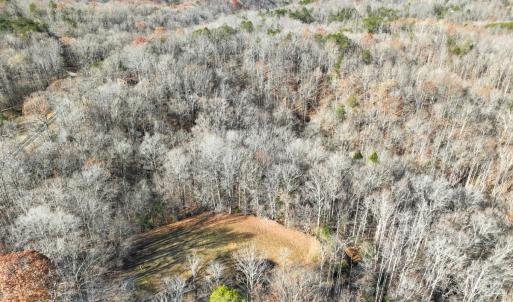 Photo #8 of SOLD property in Off Seven Island Road, Danbury, NC 27.6 acres