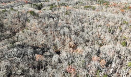 Photo #9 of SOLD property in Off Seven Island Road, Danbury, NC 27.6 acres