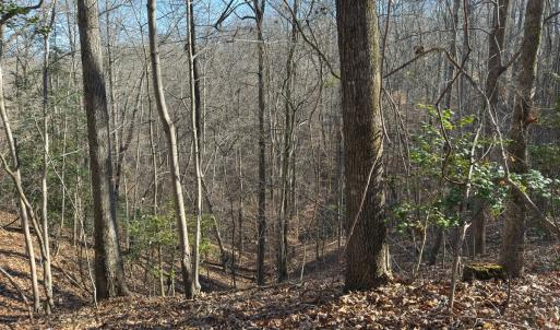 Photo #40 of SOLD property in Off Seven Island Road, Danbury, NC 27.6 acres