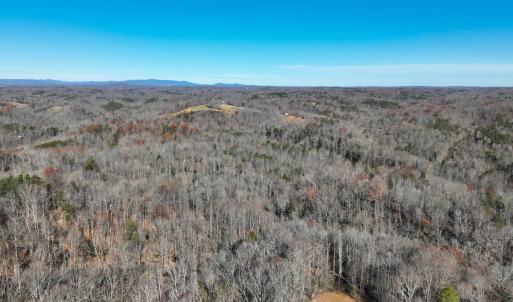 Photo #43 of SOLD property in Off Seven Island Road, Danbury, NC 27.6 acres
