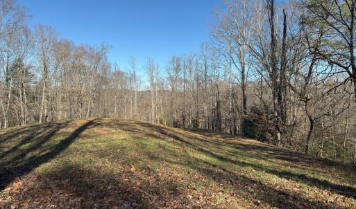 Photo #44 of SOLD property in Off Seven Island Road, Danbury, NC 27.6 acres