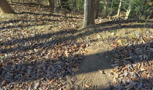 Photo #48 of SOLD property in Off Seven Island Road, Danbury, NC 27.6 acres