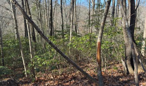 Photo #49 of SOLD property in Off Seven Island Road, Danbury, NC 27.6 acres