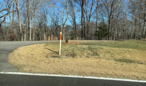 Photo #54 of SOLD property in Off Seven Island Road, Danbury, NC 27.6 acres