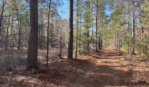 Photo #11 of SOLD property in Off North Forsythe Ln, Cameron, NC 6.0 acres