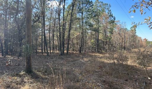 Photo #12 of SOLD property in Off North Forsythe Ln, Cameron, NC 6.0 acres