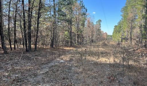 Photo #13 of SOLD property in Off North Forsythe Ln, Cameron, NC 6.0 acres