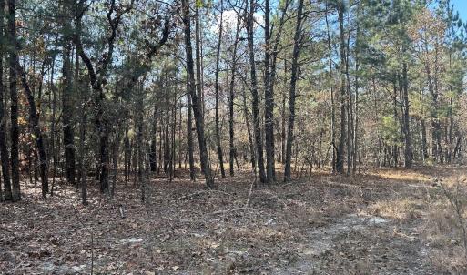 Photo #14 of SOLD property in Off North Forsythe Ln, Cameron, NC 6.0 acres