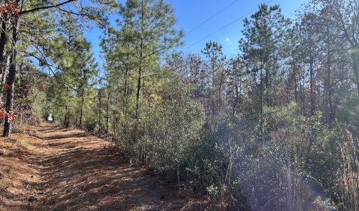 Photo #15 of SOLD property in Off North Forsythe Ln, Cameron, NC 6.0 acres