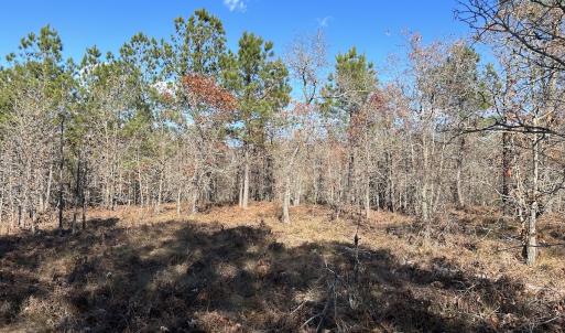Photo #16 of SOLD property in Off North Forsythe Ln, Cameron, NC 6.0 acres