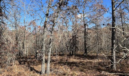 Photo #17 of SOLD property in Off North Forsythe Ln, Cameron, NC 6.0 acres