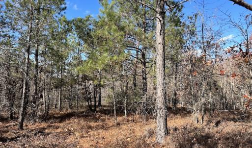Photo #18 of SOLD property in Off North Forsythe Ln, Cameron, NC 6.0 acres
