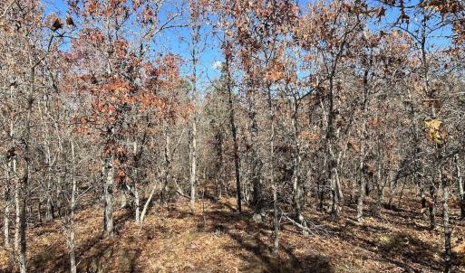 Photo #19 of SOLD property in Off North Forsythe Ln, Cameron, NC 6.0 acres