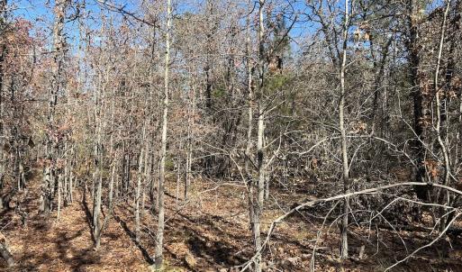 Photo #20 of SOLD property in Off North Forsythe Ln, Cameron, NC 6.0 acres