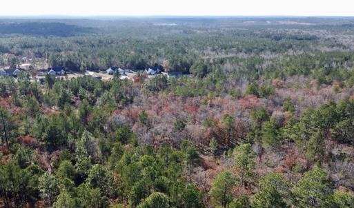 Photo #9 of SOLD property in Off North Forsythe Ln, Cameron, NC 6.0 acres