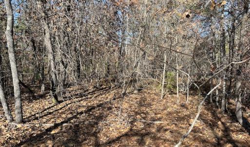 Photo #21 of SOLD property in Off North Forsythe Ln, Cameron, NC 6.0 acres