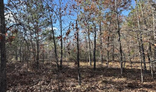 Photo #22 of SOLD property in Off North Forsythe Ln, Cameron, NC 6.0 acres