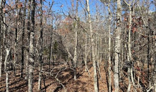 Photo #23 of SOLD property in Off North Forsythe Ln, Cameron, NC 6.0 acres