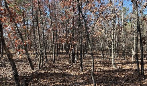 Photo #24 of SOLD property in Off North Forsythe Ln, Cameron, NC 6.0 acres