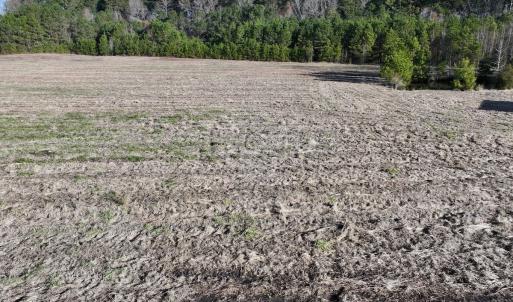 Photo #6 of SOLD property in 02 Smaw Road, Washington, NC 16.0 acres