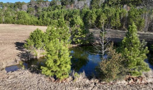 Photo #7 of SOLD property in 02 Smaw Road, Washington, NC 16.0 acres