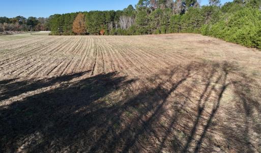 Photo #8 of SOLD property in 02 Smaw Road, Washington, NC 16.0 acres