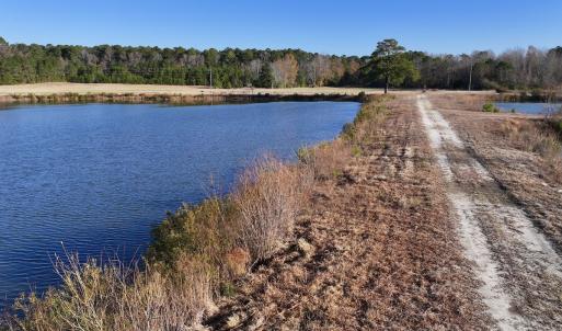 Photo #20 of SOLD property in 02 Smaw Road, Washington, NC 16.0 acres