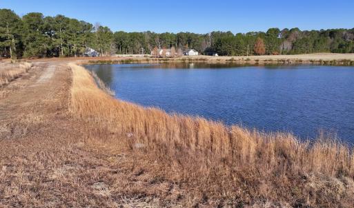 Photo #21 of SOLD property in 02 Smaw Road, Washington, NC 16.0 acres