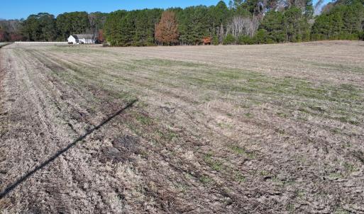 Photo #26 of SOLD property in 02 Smaw Road, Washington, NC 16.0 acres