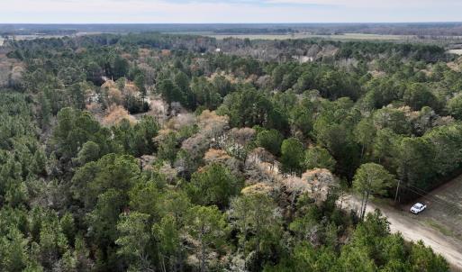 Photo #11 of Off Steeple Lake Road, La Grange, NC 1.4 acres