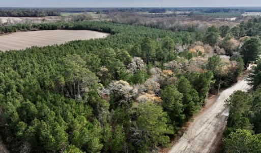 Photo #13 of Off Steeple Lake Road, La Grange, NC 1.4 acres