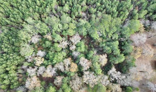 Photo #16 of Off Steeple Lake Road, La Grange, NC 1.4 acres