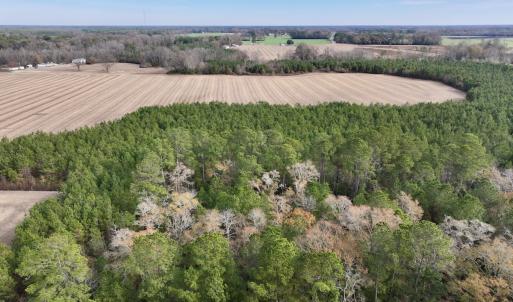 Photo #4 of Off Steeple Lake Road, La Grange, NC 1.4 acres