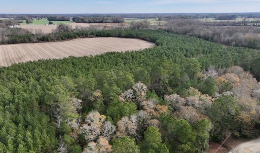 Photo #5 of Off Steeple Lake Road, La Grange, NC 1.4 acres