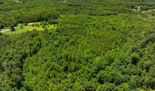 Photo #14 of Lot-5, Off Wilson Road, Providence, NC 14.6 acres