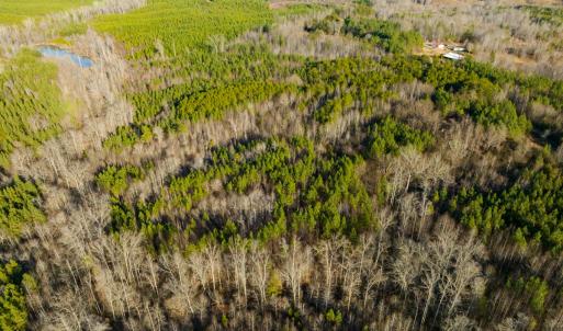 Photo #17 of Lot-5, Off Wilson Road, Providence, NC 14.6 acres